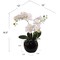 13-Inch Phalaenopsis Orchid Arrangement - Elegant Silk Floral Accent for Home & Office Decor, Floral Home by Artificial Flowers